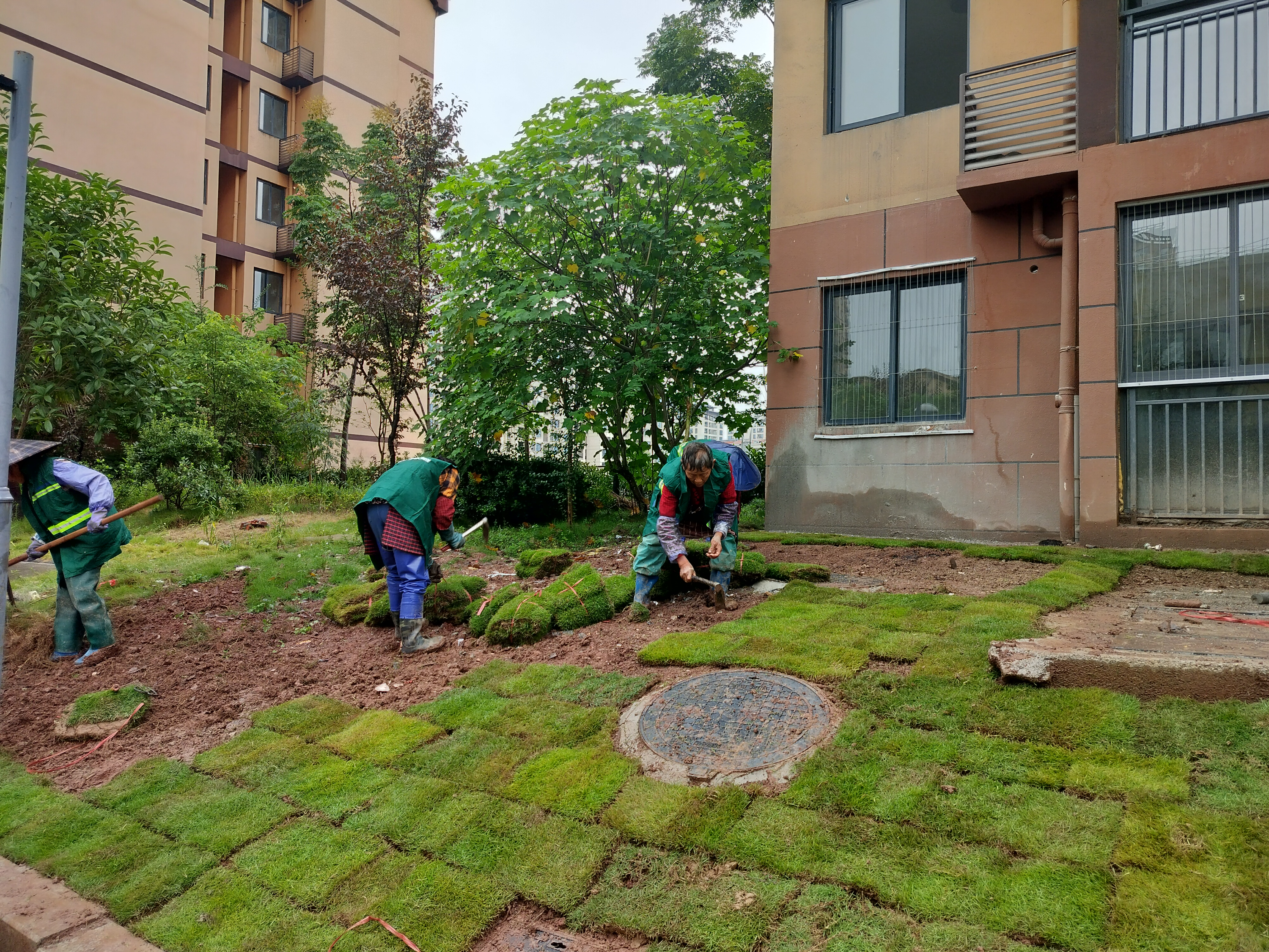 垫江县西湖小区人才公寓（A区、B区）装饰工程绿化项目